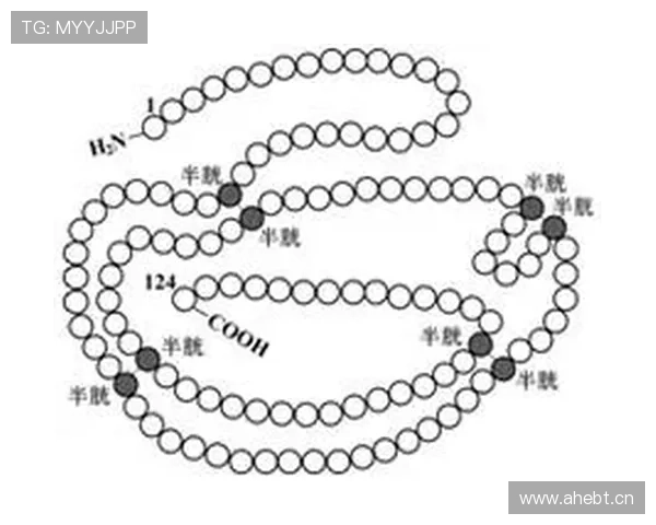 萨卡：半空间持球推进与制造威胁的核心价值分析
