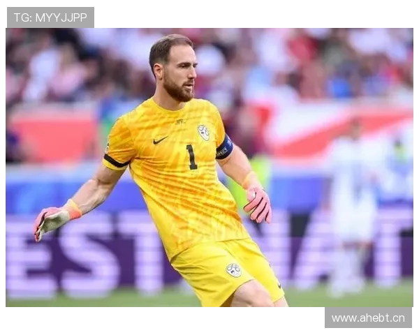 奥布拉克是否斯洛文尼亚国家队历史最佳门将解析 奥布拉克是否斯洛文尼亚国家队历史最佳门将解析