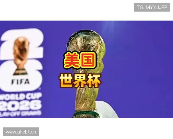 世界杯美国队D组球迷最关心的问题